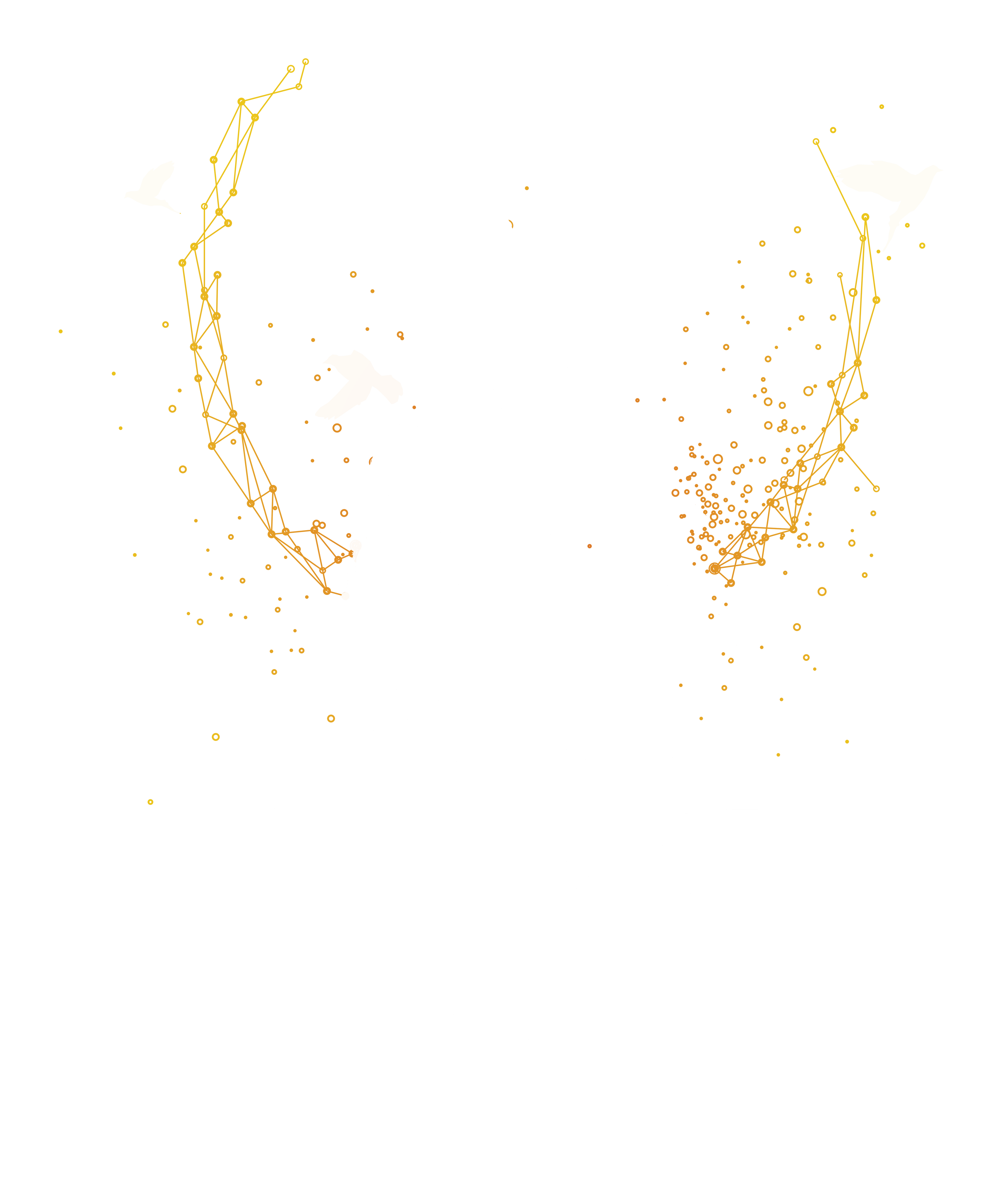 "Free Your Mind" T-shirt with Meditative Silhouette and Birds – Free and Cosmic