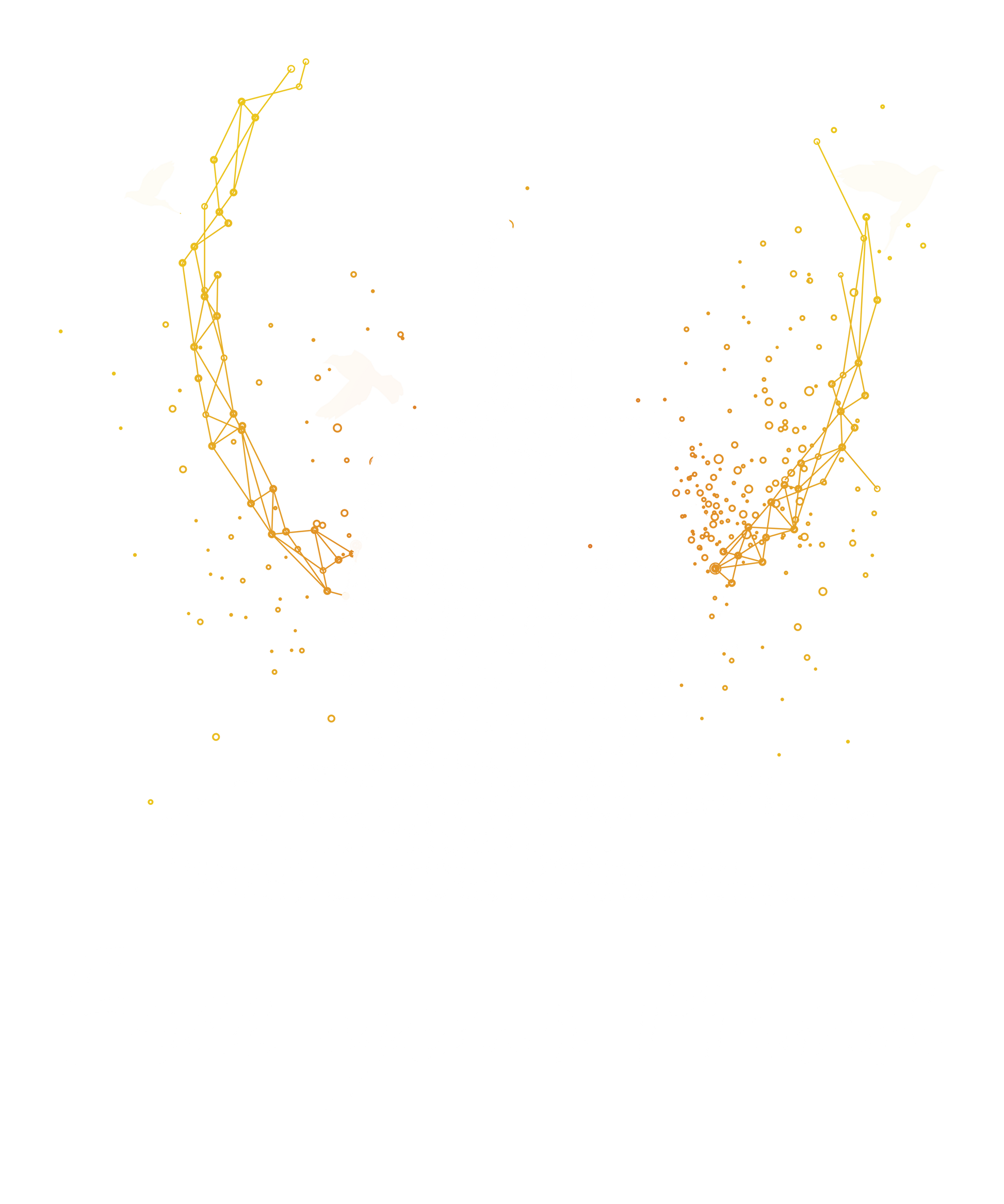 "Free Your Mind" T-shirt with Meditative Silhouette and Birds – Free and Cosmic